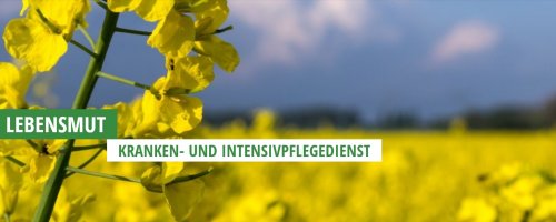 Kranken- und Intensivpflegedienst Lebensmut GmbH