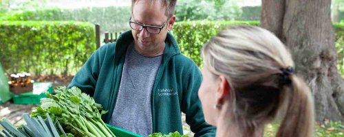 Naturkost Schnie­dershof – Biokis­ten­lie­fer­service