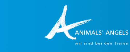 Animals' Angels