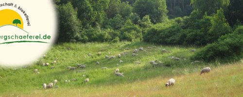 Landwirtschaftsbetrieb Bergschäferei