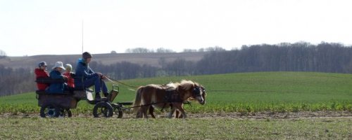 Sturmhof | Bioland-Hof & Urlaub